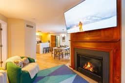 LuxStayUSA | Ballhooter Vista (AS 328–330) - Image 5