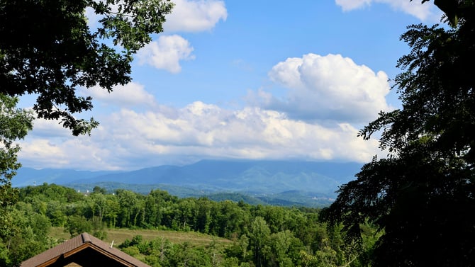 Smokies