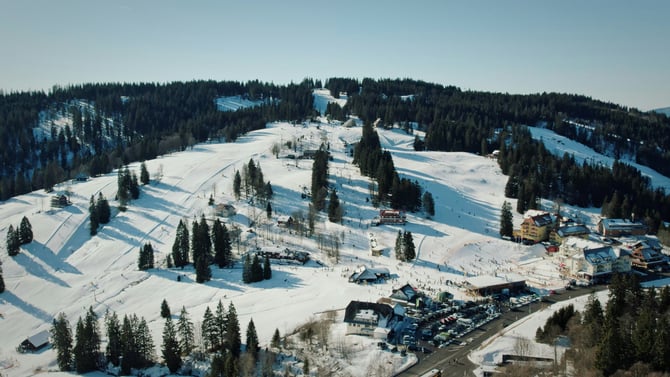 Snowshoe