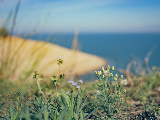 Spring