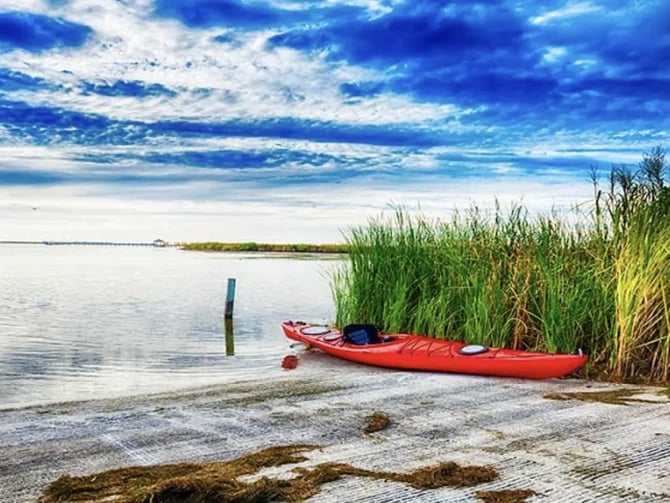 OBX Eco Tour guided boat tour Corolla